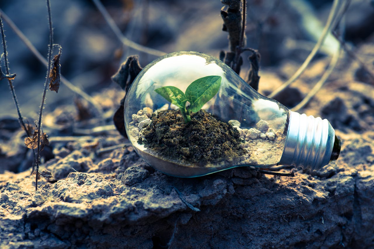 4 Ways IT Providers Can Help With ESG Strategy Goals an ecosystem within a lightbulb, close up on a dirt ground. every business must have an esg strategy