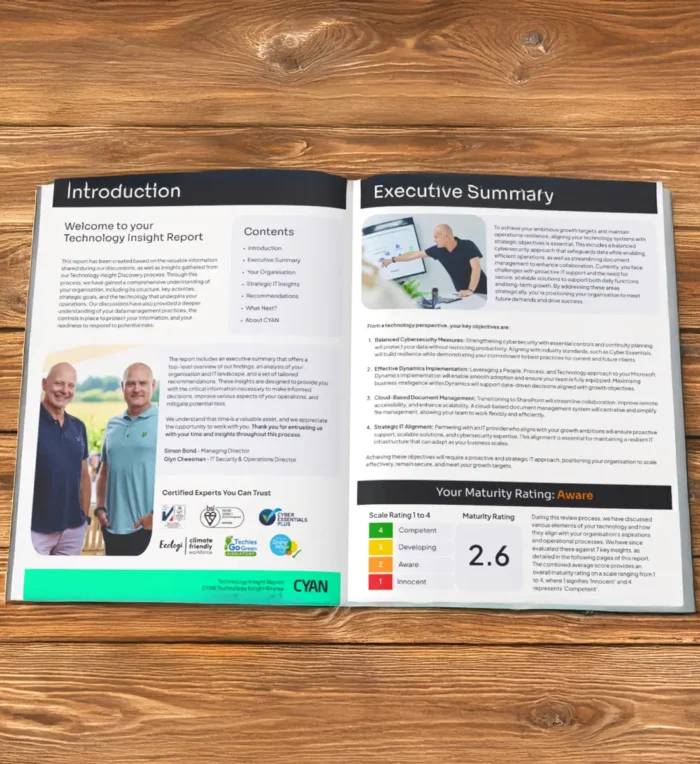 CYAN insight review preview